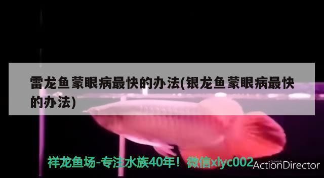 雷龍魚蒙眼病最快的辦法(銀龍魚蒙眼病最快的辦法)龍魚蒙眼病