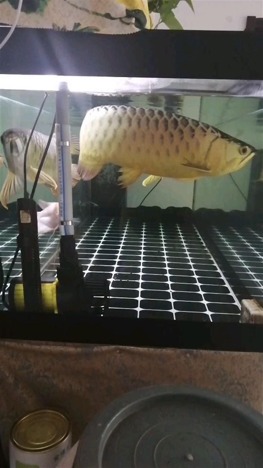 龍魚 雕刻 寓意，魚雕刻，傳統藝術中的吉祥寓意與