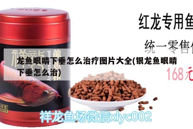 龍魚眼睛下垂怎么治療圖片大全(銀龍魚眼睛下垂怎么治)魚眼睛下垂治療指南，銀龍魚案例分析與圖片集