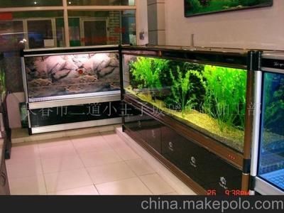 玻璃魚缸加工：玻璃魚缸加工企業(yè)介紹玻璃魚缸加工企業(yè)介紹，魚缸加工企業(yè)概覽，專業(yè)制造與