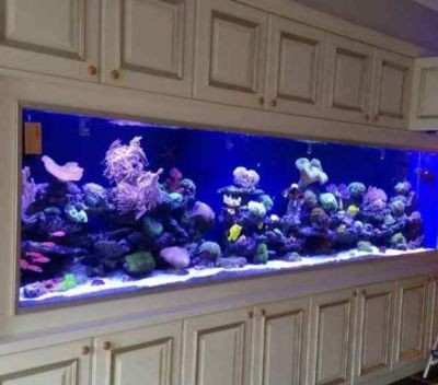 玻璃魚缸漏水怎么快速處理辦法視頻：玻璃魚缸漏水怎么辦，解決玻璃魚缸漏水問題