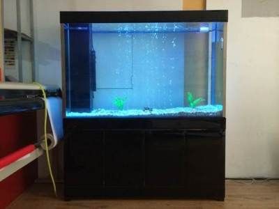 淡水哪里有賣魚缸的地方啊：淡水魚缸可以在哪些地方購買，淡水魚缸購買地點，尋找適合您需求的