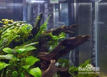 儀征市大眾工藝廠（儀征市大眾工藝廠地址）征市大眾工藝廠，探索地方工業(yè)