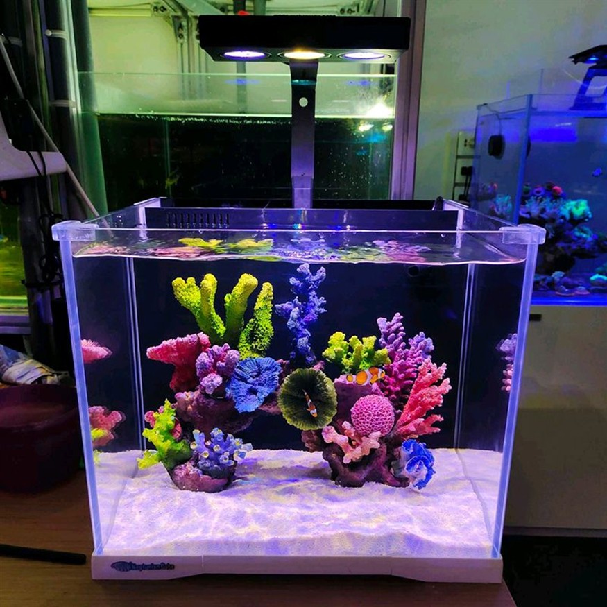 超白魚缸有幾種品種：如何選購超白魚缸，白魚缸選購指南，種類與購買技巧