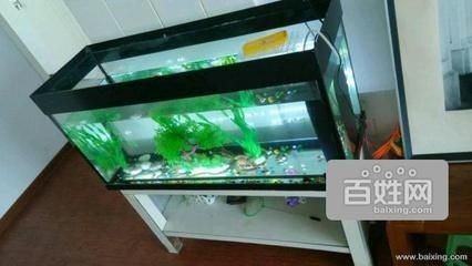 搬家公司魚缸破碎不包賠合理嗎怎么辦：搬家公司對魚缸的破損負責并提供賠償時需考慮幾個關鍵因素，公司魚缸破碎賠償爭議，關鍵因素與