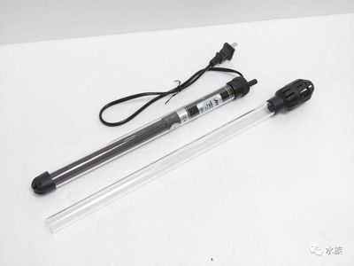 冬天魚缸加熱棒開多少度：冬天魚缸加熱棒應該根據你養的魚的適宜水溫來確定，魚缸加熱棒溫度指南，確保適宜水溫以養好你的魚