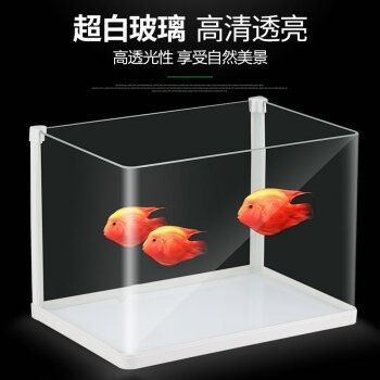 超白魚缸和熱彎魚缸哪個好看：超白魚缸和熱彎魚缸哪個好看超白魚缸和熱彎魚缸哪個更好看，白與熱彎，哪種魚缸更勝