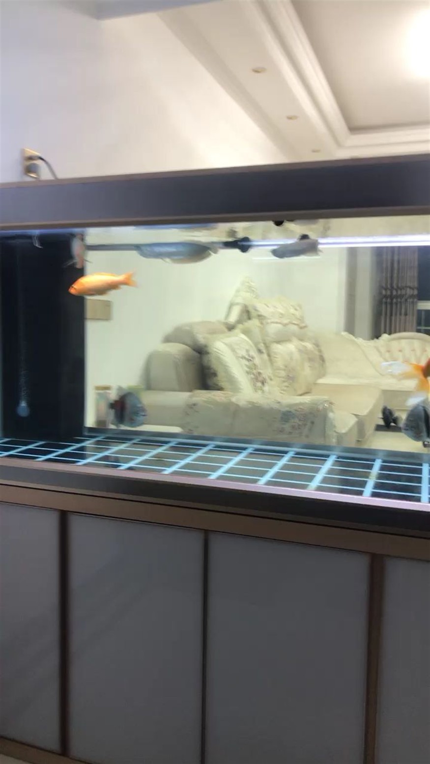 安全到家，安全，家庭防護(hù)與