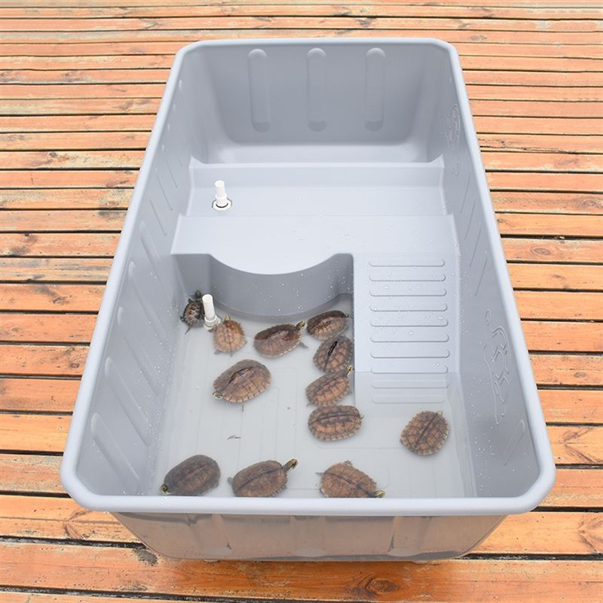 保溫箱做魚缸：保溫箱做魚缸的方法，DIY，如何用保溫箱打造魚缸的