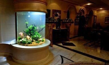 冬天魚缸放在陽臺可以嗎：冬季陽臺養魚的風水講究，陽臺養魚的風水講究，冬天魚缸