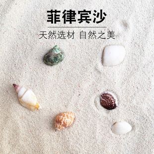 慈鯛魚缸里應該放些什么東西：關于慈鯛魚缸造景與裝飾的建議，鯛魚的完美家園，打造個性化魚缸造景與裝飾指南