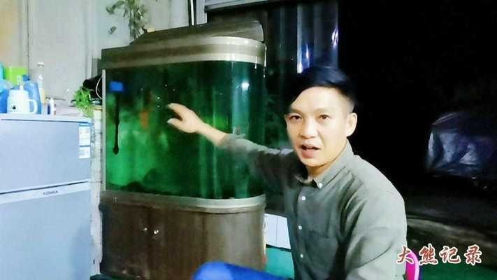 才換的水,為什么魚缸水總變渾濁：魚缸水變渾濁的原因及解決方法，魚缸水變渾濁之謎，原因與解決