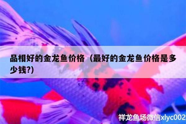 鞍山經濟開發區百貨水族器材經銷處（鞍山經濟開發區百貨水族器材經銷處電話）山經濟開發區百貨水族器材經銷處聯系方式 鞍山經濟開發區百貨水族器材經銷處（鞍山經濟開發區百貨水族器材經銷處電話）山經濟開發區百貨水族器材經銷處聯系方式 全國水族館企業名錄 第1張