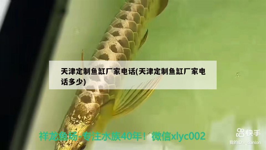 天津定制魚缸廠家電話(天津定制魚缸廠家電話多少)專業魚缸定制服務電話