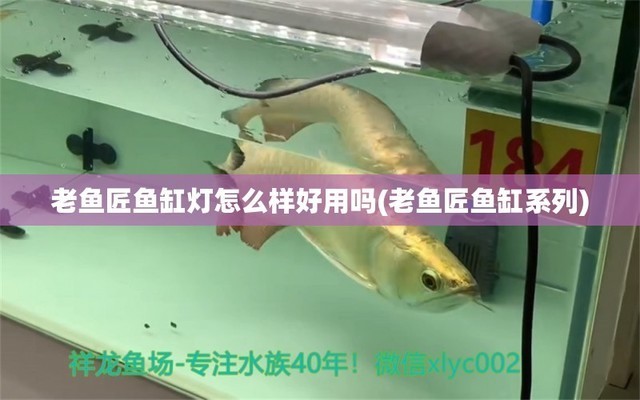 壽光市愛家水族館（壽光市愛家水族館電話）光市愛家水族館，探索海底奇觀，體驗(yàn)