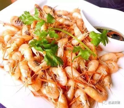 龍魚喂河蝦需要剝皮嗎，魚飼養指南，喂食河蝦前需