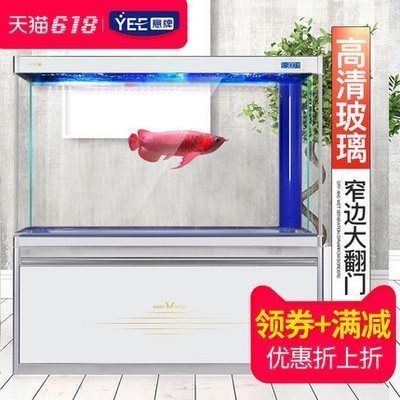 紅龍魚最大能養多大的（紅龍魚最大能養多大的缸）龍魚最大養殖尺寸與缸型指南