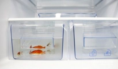 大型魚缸一天用多少電正常：大型魚缸一天用電量多少，大型魚缸一天用電量多少，正常消耗