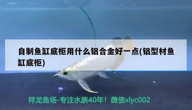 自制魚缸底柜用什么鋁合金好一點(鋁型材魚缸底柜)完美水族空間，選擇最佳鋁合金底