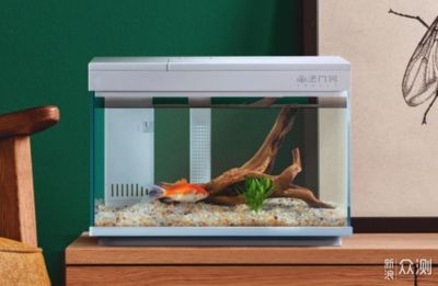 不大不小的魚缸多少升水：如何計算魚缸的容積，計算魚缸的合適容積，確定適宜水量