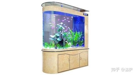 不大不小的魚缸多少升水：如何計算魚缸的容積，計算魚缸的合適容積，確定適宜水量