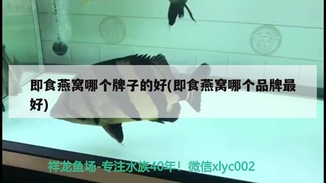 精品三紋虎魚，三紋虎魚，