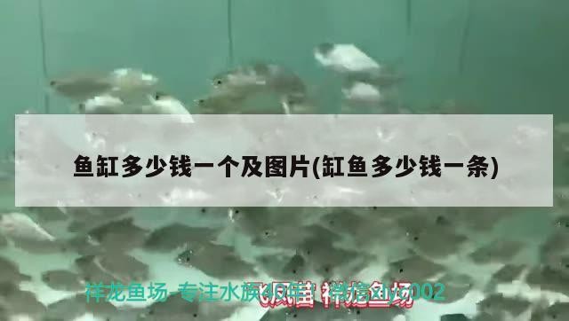 幫忙看看虎魚起清春痘怎么治療？魚春痘治療指南，專家建議與