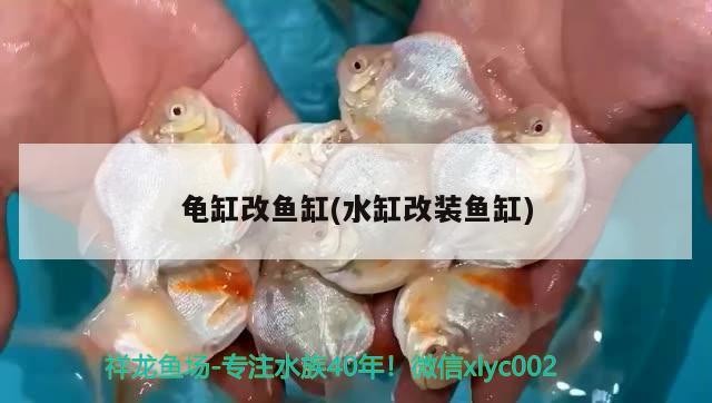 幫忙看看虎魚起清春痘怎么治療？魚春痘治療指南，專家建議與