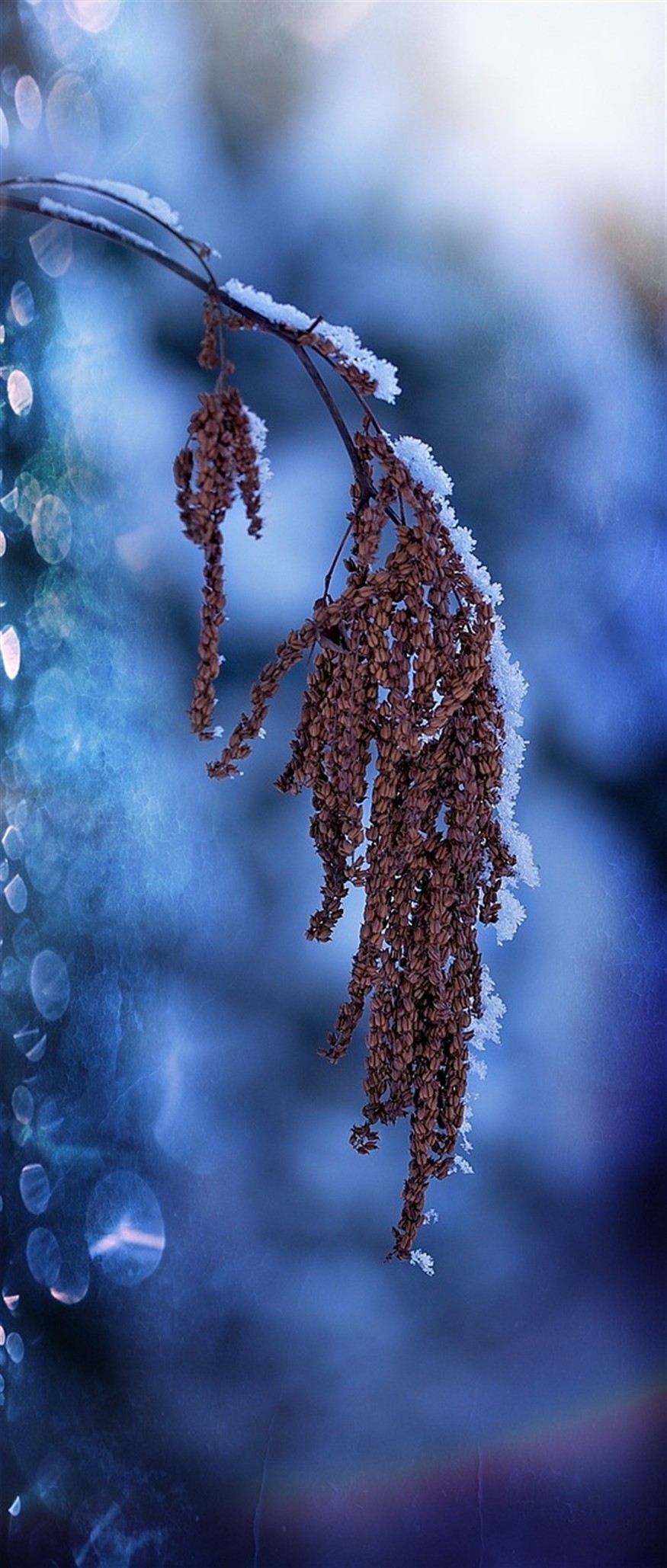 九條龍魚五條虎魚好養(yǎng)嗎：養(yǎng)九條龍魚代表什么，條龍魚與五條虎魚，養(yǎng)魚愛好者的養(yǎng)
