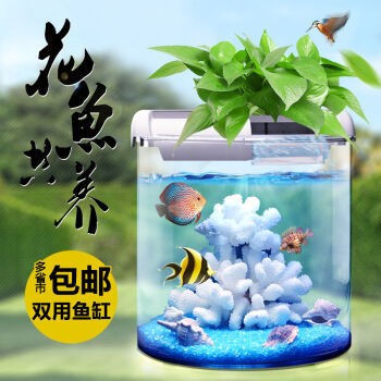 興寧市安逸水族館（興寧市安逸水族館地址）寧市安逸水族館，探索海洋