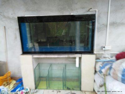 玻璃魚缸裂了怎么辦呢：如何修補玻璃魚缸的裂痕，魚缸裂了怎么辦，修補技巧與注意事項