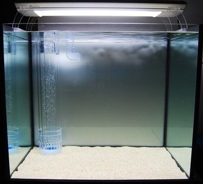 玻璃魚缸裂了怎么辦呢：如何修補玻璃魚缸的裂痕，魚缸裂了怎么辦，修補技巧與注意事項