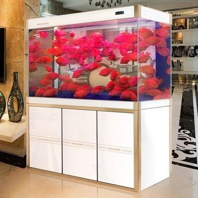 超白玻璃魚缸的優缺點是什么：如何選擇超白玻璃魚缸，白玻璃魚缸，優勢