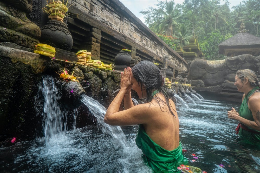印尼虎魚苗怎么過水（印尼虎魚苗怎么養）虎魚苗的養護指南，輕松掌握