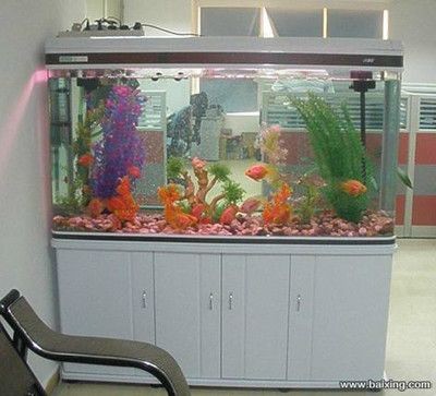 大型魚缸清洗設備廠家：專業的魚缸清洗服務公司有哪些，魚缸清洗服務公司一覽，大型魚缸清洗