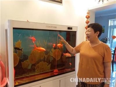 大興魚缸賣魚缸的地方在哪里：大興區魚缸定制與保養，區魚缸定制與保養服務指南，尋找專業魚缸銷售與維護