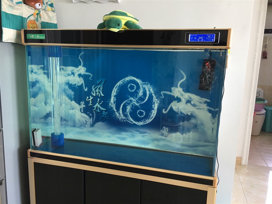 魚缸空空虎魚圈，魚愛好者的空魚缸，探索與生態