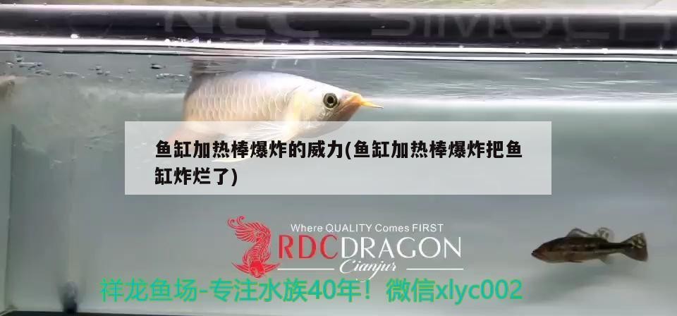 魚缸加熱棒爆炸的威力(魚缸加熱棒爆炸把魚缸炸爛了)加熱棒爆炸威力驚人，魚缸被炸