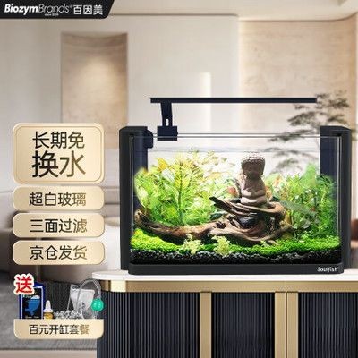 百因美桌面魚缸：如何選擇適合自己的桌面魚缸？因美桌面魚缸，打造完美家居水