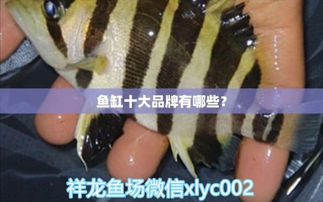 靈山縣靈城鎮都樂綜合商店（靈山縣靈城鎮都樂綜合商店地址）山縣靈城鎮都樂綜合商店地址與