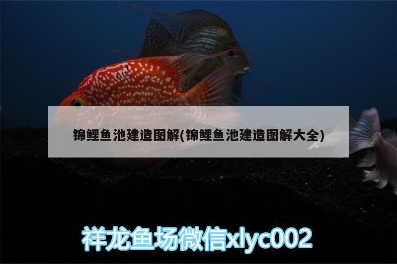 錦鯉魚池建造圖解(錦鯉魚池建造圖解大全)錦鯉魚池建造圖解大全，打造完美水族景觀