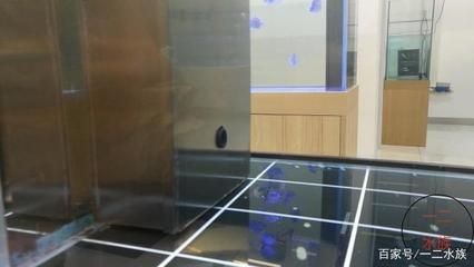 成品魚缸上過濾槽怎么放濾材呢：成品魚缸上過濾槽放濾材時需要注意以下幾點和注意事項，放置成品魚缸上過濾槽的濾材