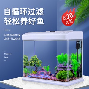 龍魚配虎魚怎么樣養（龍魚配虎魚怎么樣養好）魚與虎魚混養指南，如何打造和諧水族箱