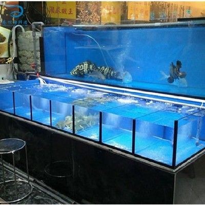 大型魚缸魚缸怎么換水:大型魚缸換水方法和注意事項,掌握技巧,大型魚缸換水的正確方法 魚缸百科 第4張 大型魚缸魚缸怎么換水:大型魚缸換水方法和注意事項,掌握技巧,大型魚缸換水的正確方法 大型魚缸魚缸怎么換水:大型魚缸換水方法和注意事項,掌握技巧,大型魚缸換水的正確方法 魚缸百科 第4張