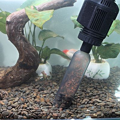 大型魚缸魚缸怎么換水:大型魚缸換水方法和注意事項,掌握技巧,大型魚缸換水的正確方法 魚缸百科 第3張 大型魚缸魚缸怎么換水:大型魚缸換水方法和注意事項,掌握技巧,大型魚缸換水的正確方法 大型魚缸魚缸怎么換水:大型魚缸換水方法和注意事項,掌握技巧,大型魚缸換水的正確方法 魚缸百科 第3張