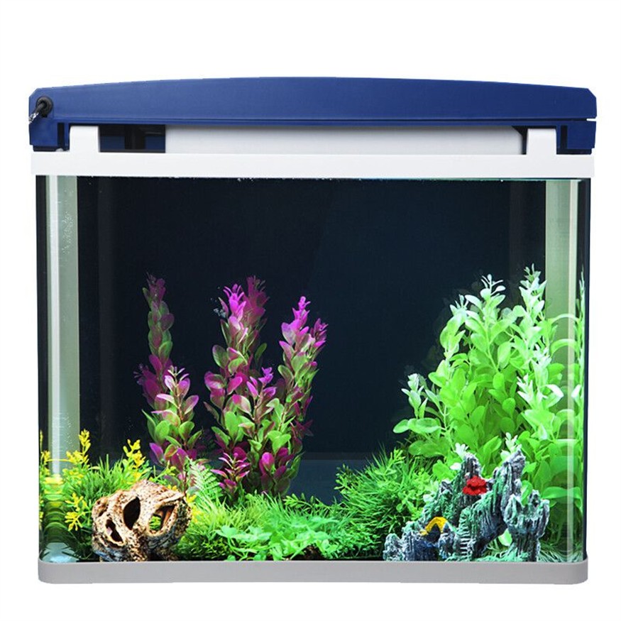 Treasure魚缸:fishtreasure魚之寶e5魚缸,easure魚缸,fishtreasure e5 打造水族 魚缸百科 第3張 Treasure魚缸:fishtreasure魚之寶e5魚缸,easure魚缸,fishtreasure e5 打造水族 Treasure魚缸:fishtreasure魚之寶e5魚缸,easure魚缸,fishtreasure e5 打造水族 魚缸百科 第3張