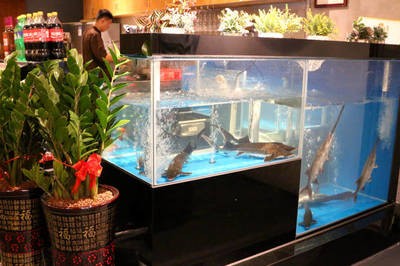 龍泉驛區龍泉街辦逸家水族器材經營部（龍泉驛區水族店）驛區水族愛好者的新選擇，逸家水族器材經營