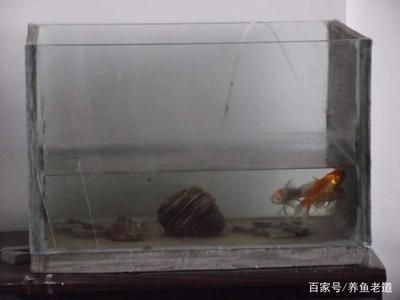 玻璃魚缸會自己爆裂嗎視頻：如何預防魚缸爆裂，玻璃魚缸爆裂之謎，預防措施大公開