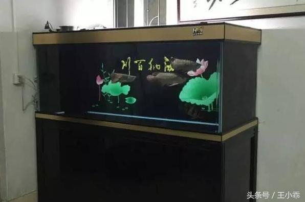 鐵力市東崗霖霖花卉水族店（鐵力市東崗霖霖花卉水族店電話號碼）力市東崗霖霖花卉水族店聯系方式及營業信息