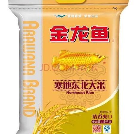 紅龍魚幼苗圖片大全大圖（紅龍魚幼苗圖片大全大圖高清）